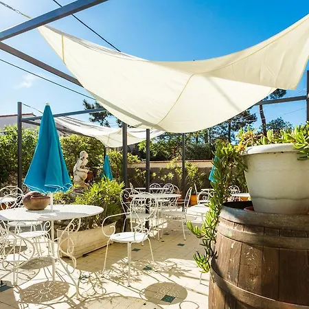 Hôtel Restaurant - Villa Les Sirènes-3