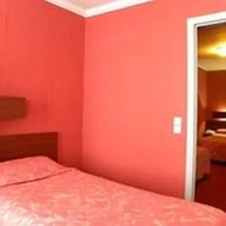 Camelia International-2