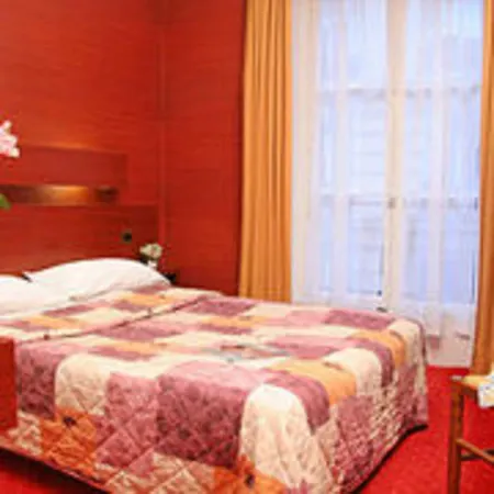 Camelia International-3