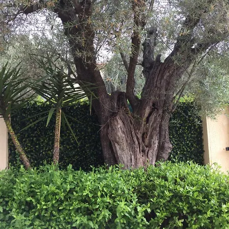 Villa L'Adret et sa piscine-2