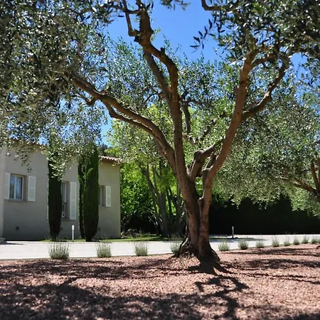 Le Jardin des Amandiers-3
