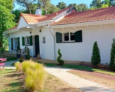 Bons Baisers du Touquet - Villa Caracole-2