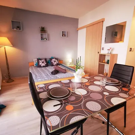 Léman Holidays - Appartement Hyper centre-3