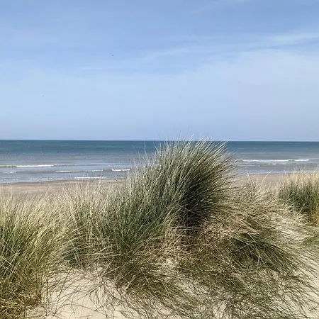 Rêve Bleu-3