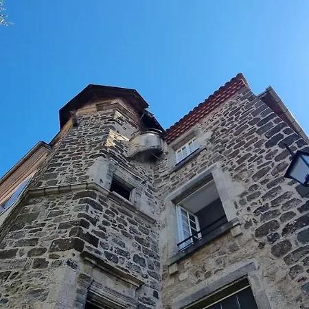 Maison au Loup - Superbe ancien hotel particulier du XVIe siècle au cœur de la vieille ville du Puy-3