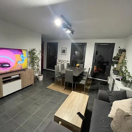 Chambre chez l’habitant à Strasbourg-3