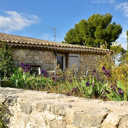 Domaine Du Mas Foucray-3