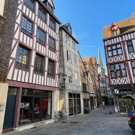 Le 1732, Rouen Coeur D'Histoire, Duplex Au Calme-3