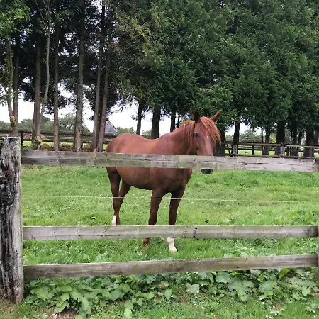 Le Domaine des Volets bleus-3