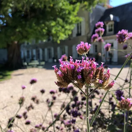 Domaine Saint-Hilaire-2