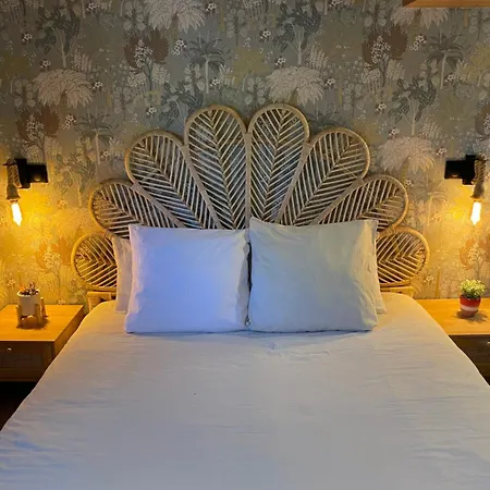 Péniche Le Pescalune - Chambre d'hôtes-3