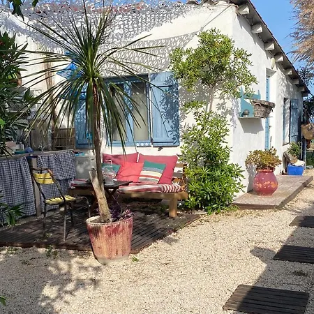 Cabanon de pêcheur en bord de lagune-3