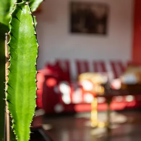 Chambre D'Amis - Chambres D'Hotes-B&B-Guest House-3