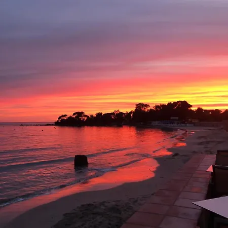 Palm Beach-2