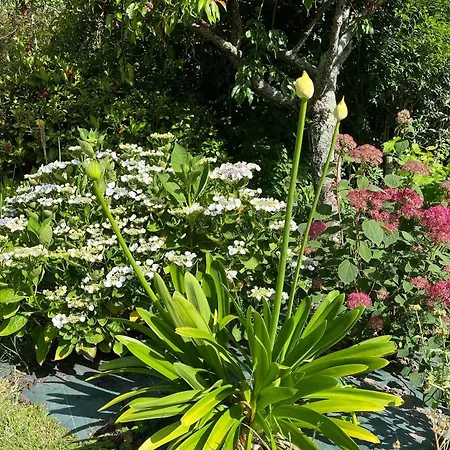 Chez Béa Calme avec sa jolie vue sur jardin, confort assuré-3