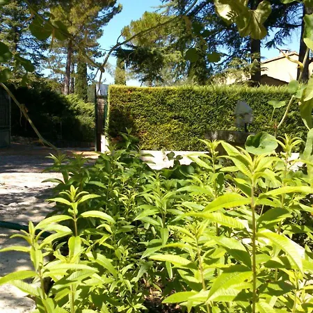 Les Verveines de Vaison-2