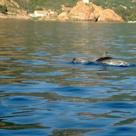 Capo D'Orto - Porto - Corse-2