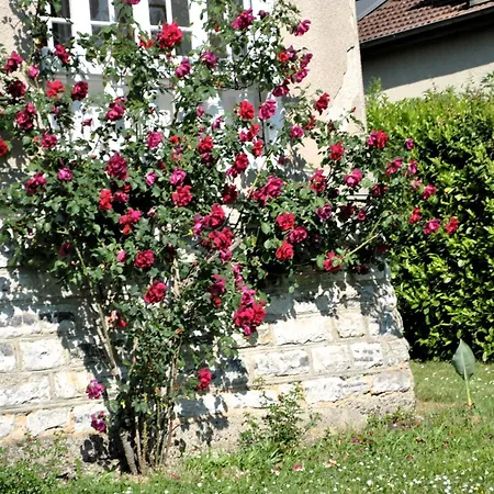 Villa Hortebise-3