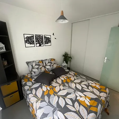 Cosy Arena-3