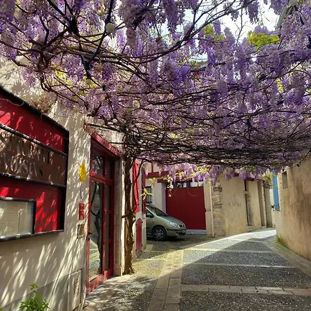 Agréable petit gîte avec jardinet-2