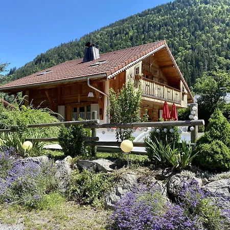 Chalet La Grande Ourse-3