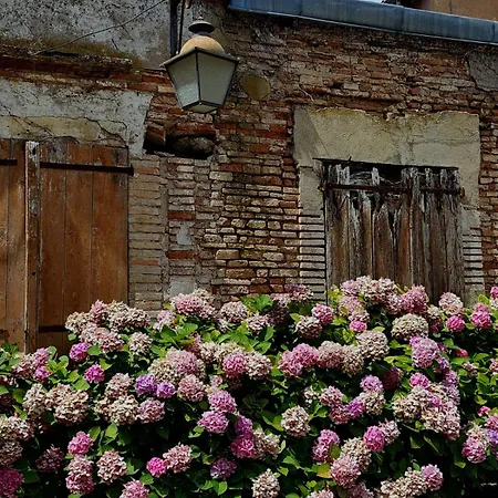 La Cour Verte-2