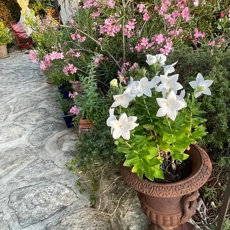 La Borie en Provence-3