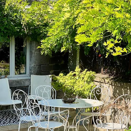 Les Hirondelles Du Marais-2