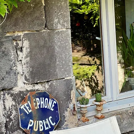 Les Hirondelles Du Marais-3