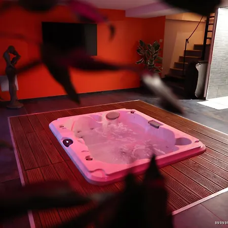Ds Plaisir Love Room Avec Sauna, Jacuzzi A Nancy-3