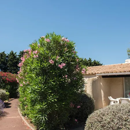Sowell Family Cap D'Agde-3