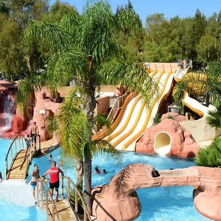 Camping Les Palmiers-3