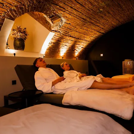 L' Hôtel&Spa Ribeauville- Haut-Koenigsbourg-3