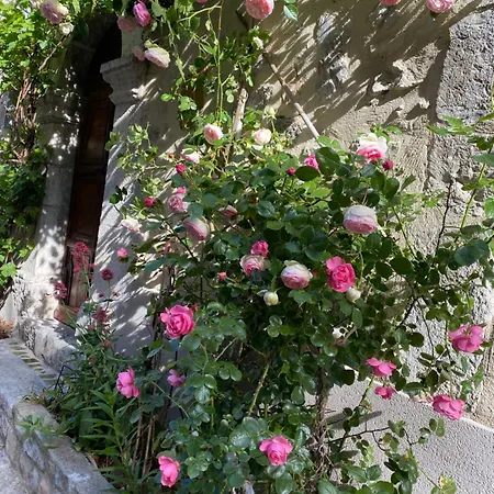 Les MIRABELLES chambres d'hôtes-2