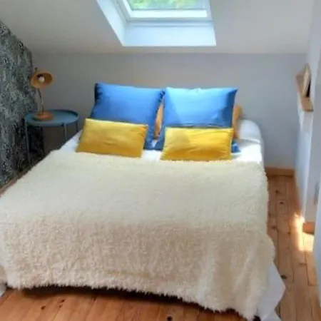 La Maison De Sylvie, Chambres D'Hotes A Tarbes-3