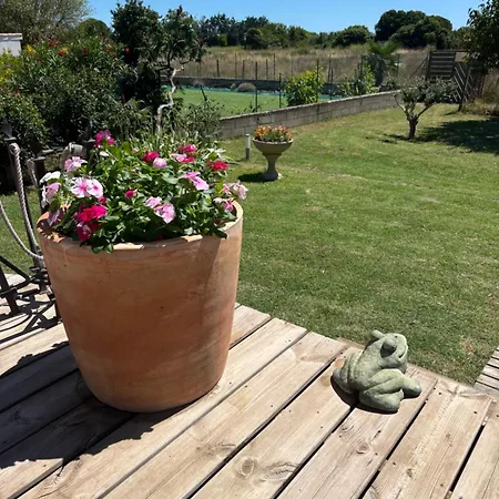 Maison de vacances en Camargue-3