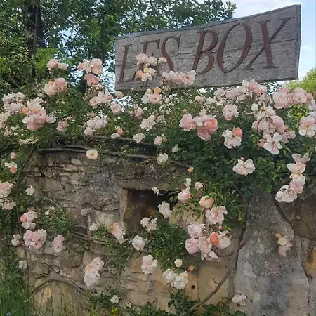 les Box-3