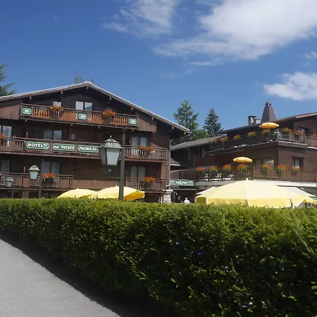 Au Vieux Moulin-2