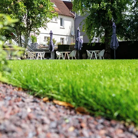 Logis hôtel Restaurant Le Faisan Dore-3