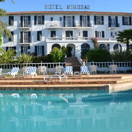 Hotel Des Mimosas-3