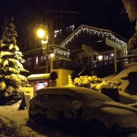 Chalet Hotel Rhododendrons-3