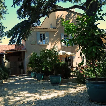Le Jardin de Mazan-3