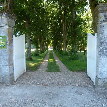 Le Grand Saint-Marc-3