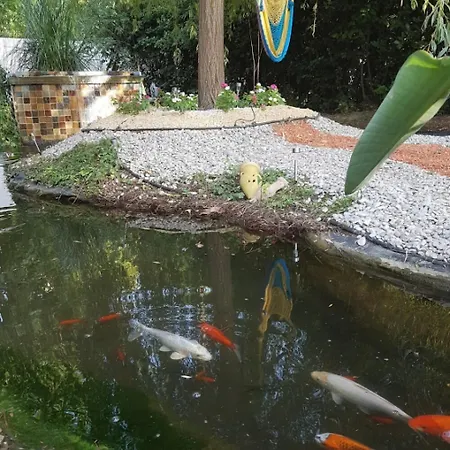 La Villa Des Sens-2
