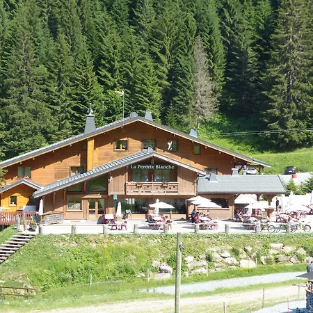 La Perdrix Blanche-2