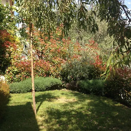 Location Vacances Nice - Villa 5* Nice St Pancrace-2