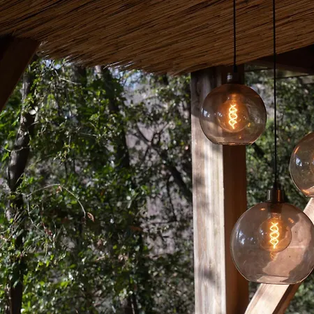 Orion Treehouses-3