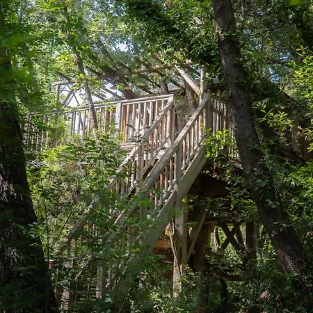 Orion Treehouses-3