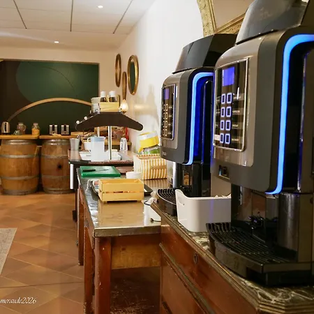 Appart'Hotel-Restaurant Castel Emeraude-2