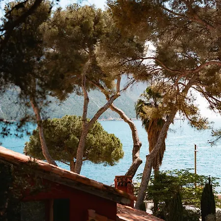 Le Jardin D'Emile-2